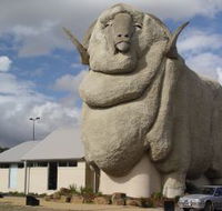 Big Merino - Accommodation Ballina