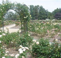 Victoria Park Rose Garden - Accommodation Ballina