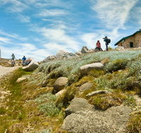 Mount Kosciuszko Summit walk - Accommodation Ballina