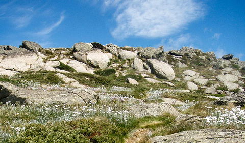 Mount Stillwell Walk - Accommodation Ballina 1