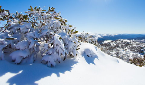 Perisher - Accommodation Ballina 3