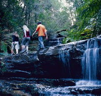South Lawson Waterfall Circuit - Accommodation Ballina