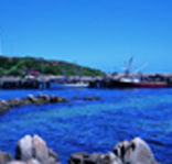 King Island Dairies - Accommodation Ballina