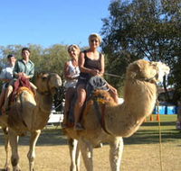 Calamunnda Camel Farm  - Accommodation Ballina