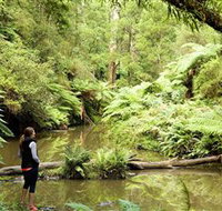 Morwell National Park