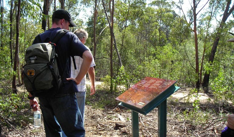 Laguna NSW Accommodation Ballina