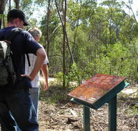 Finchley cultural walk - Accommodation Ballina