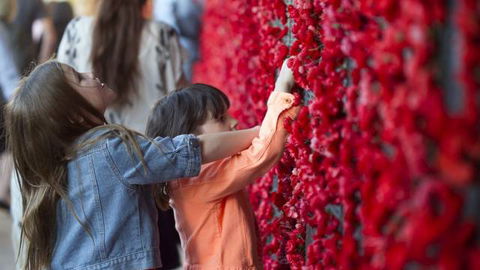 Australian War Memorial - Accommodation Ballina 5