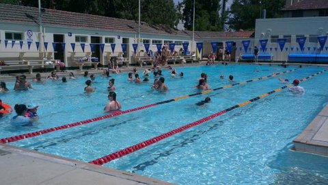 Manuka Pool - Accommodation Ballina 3