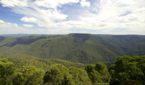Barrington Tops National Park - Accommodation Ballina 0