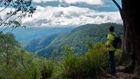 Barrington Tops National Park - Accommodation Ballina 3