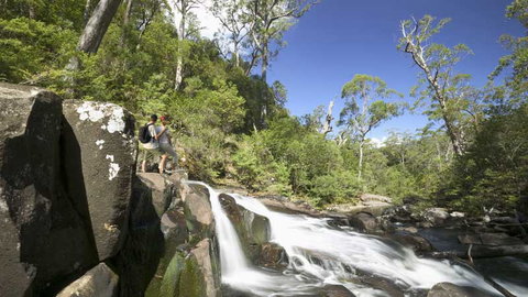 Barrington Tops National Park - Accommodation Ballina 2