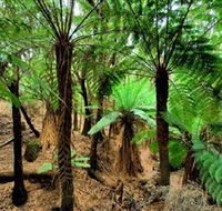 Pegarah Private Nature Reserve  Parenna Place - Accommodation Ballina