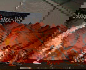 Wadumbah Aboriginal Dance Troupe - Accommodation Ballina 3