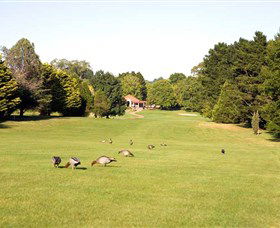 Moss Vale Golf Club - Accommodation Ballina 2