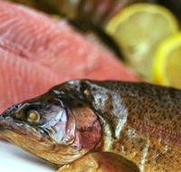 Lovedale Smokehouse Gourmet Pantry Cafe and Masterclasses - Accommodation Ballina