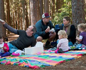 State Forests Of The Watagan Mountains - Accommodation Ballina 0