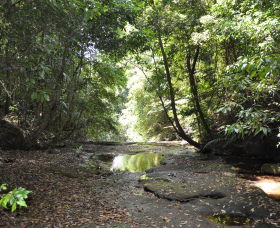 State Forests Of The Watagan Mountains - Accommodation Ballina 1