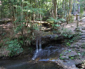 State Forests Of The Watagan Mountains - Accommodation Ballina 3
