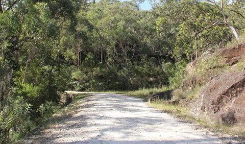 Dharug National Park - Accommodation Ballina 1