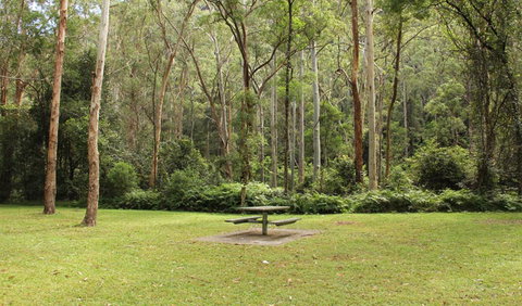 Dharug National Park - Accommodation Ballina 3