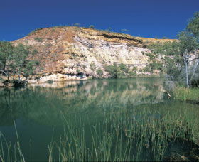 Ellendale Pool - Accommodation Ballina 0