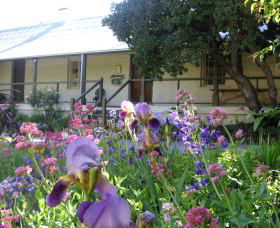 Raglan Gallery And Cultural Centre - Accommodation Ballina 0