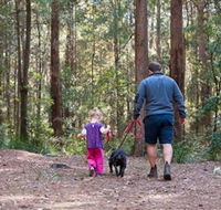 Olney State Forest - Watagan Mountains - Accommodation Ballina
