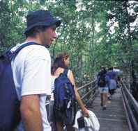 Bellthorpe National Park - Accommodation Ballina