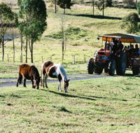 Calmsley Hill City Farm - Accommodation Ballina