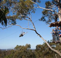 TreeTop Safari - Accommodation Ballina