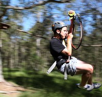 TreeTop Adventure Park Sydney - Accommodation Ballina
