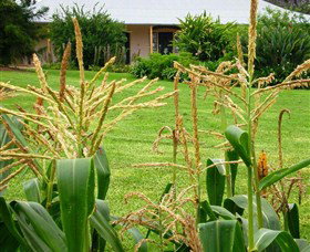 Experiment Farm Cottage - Accommodation Ballina 4