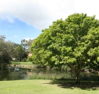 Hervey Bay Botanic Gardens - Accommodation Ballina