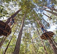 TreeTop Adventure Park Central Coast - Accommodation Ballina