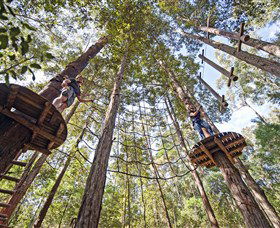 TreeTop Adventure Park Central Coast - Accommodation Ballina 0