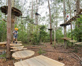 TreeTop Adventure Park Central Coast - Accommodation Ballina 1