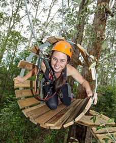 TreeTop Adventure Park Central Coast - Accommodation Ballina 3