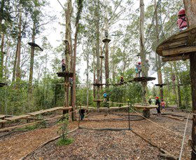 TreeTop Adventure Park Central Coast - Accommodation Ballina 5