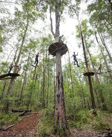 TreeTop Adventure Park Central Coast - Accommodation Ballina 4