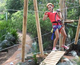 Urban Jungle Adventure Park - Accommodation Ballina 0