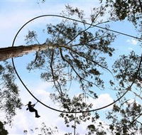TreeTops Crazy Rider - Accommodation Ballina