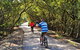 Bicentennial Park - Sydney Olympic Park - thumb 1