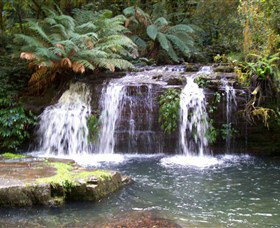 Barrington Tops National Park Walks - Accommodation Ballina 0