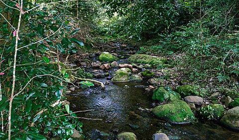 Macquarie Pass National Park - Accommodation Ballina 0
