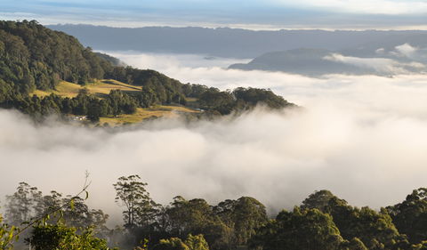 Cambewarra Range Nature Reserve - Accommodation Ballina 0