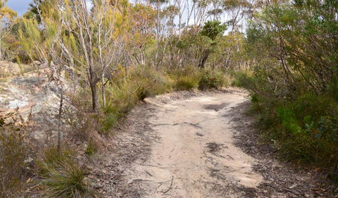 Cambewarra Range Nature Reserve - Accommodation Ballina 1