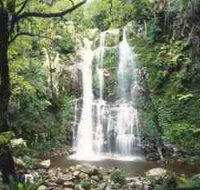 Budderoo National Park - The Falls Walk - Accommodation Ballina