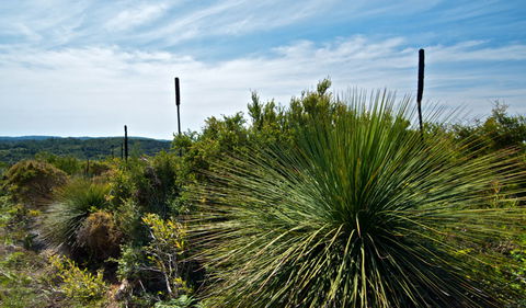 Munmorah State Conservation Area - Accommodation Ballina 1