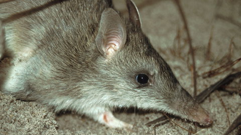 Glenrock State Conservation Area - Accommodation Ballina 2